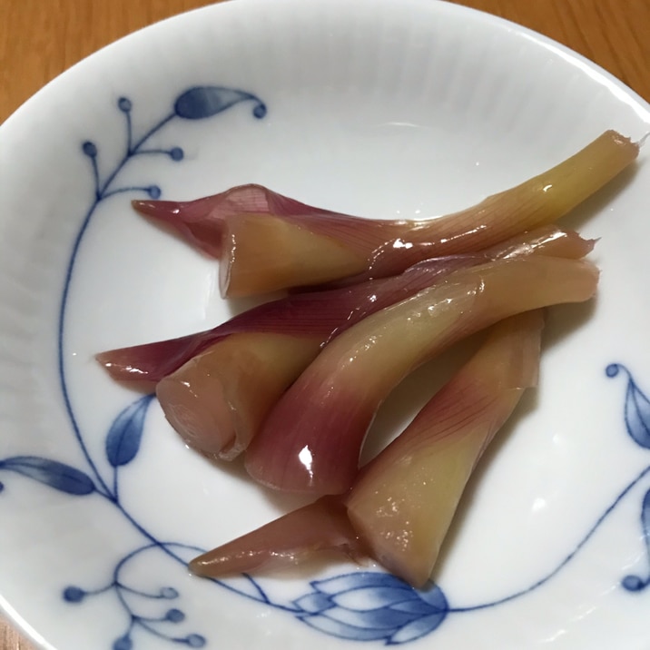 電子レンジで、茗荷の茎の和風ピクルス